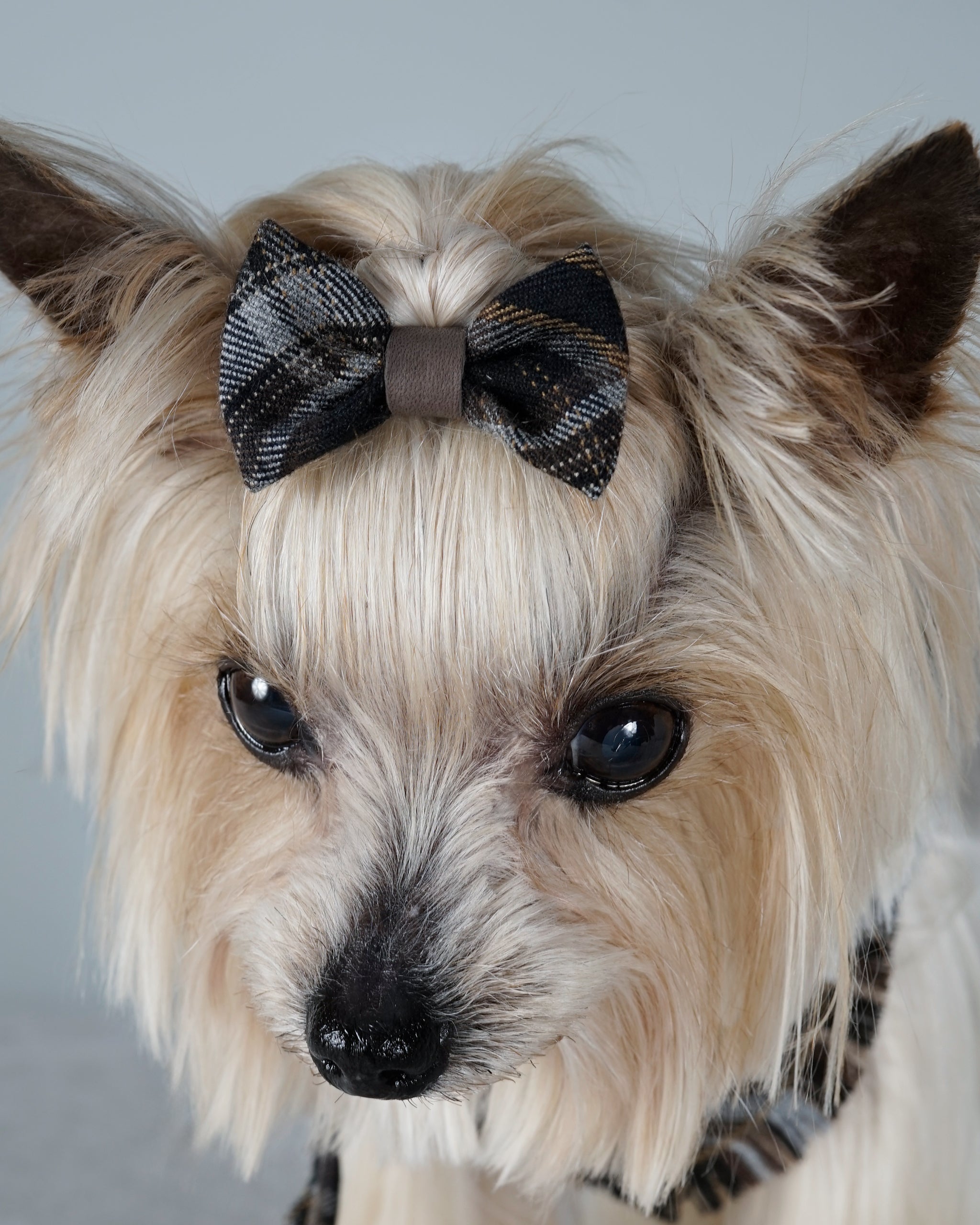 Nerili Hair Bow