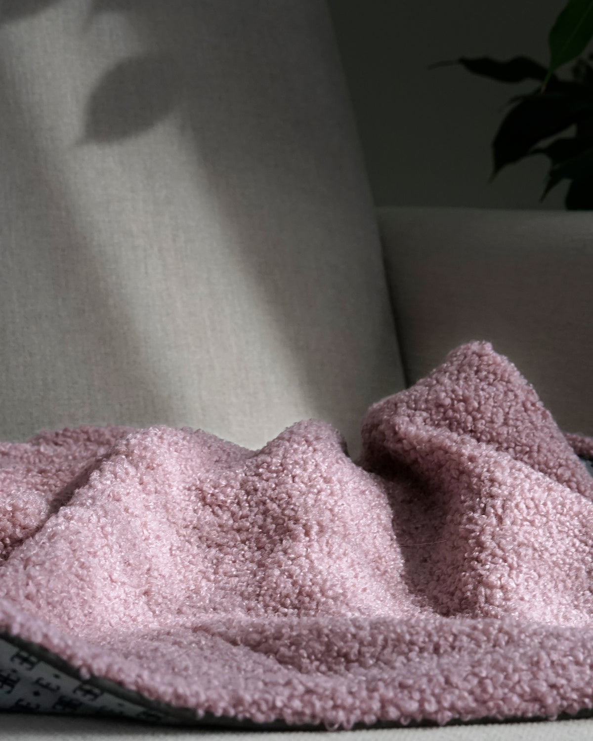 Powder pink bouclé dog blanket draped softly over a sofa
