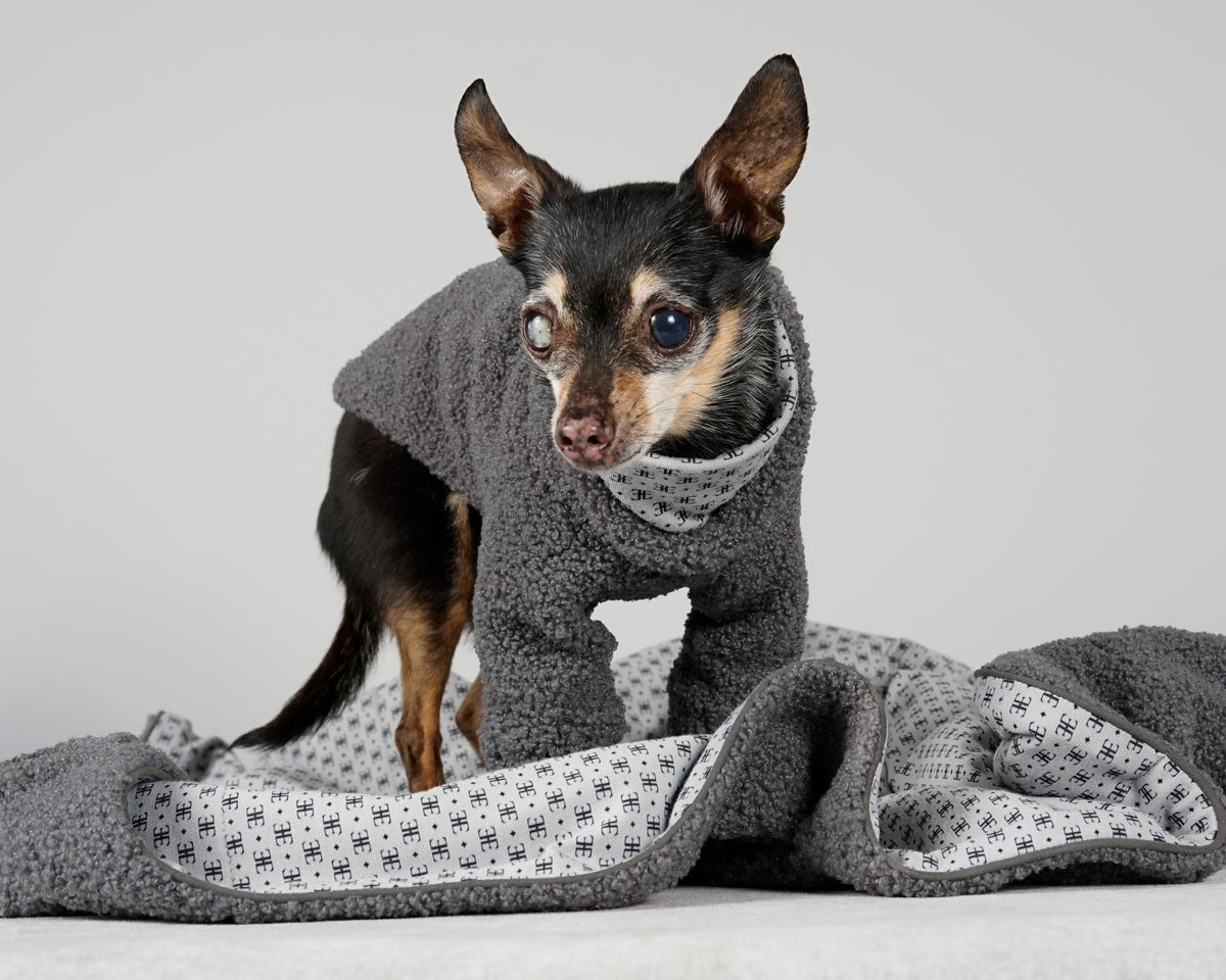 Black and tan dog in a grey bouclé pullover standing on a grey bouclé blanket