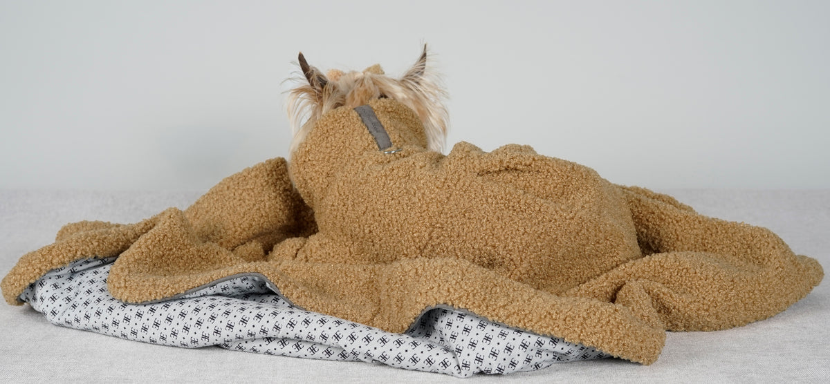 Yorkshire Terrier in a camel bouclé dress and matching bow, nestled into a camel bouclé blanket