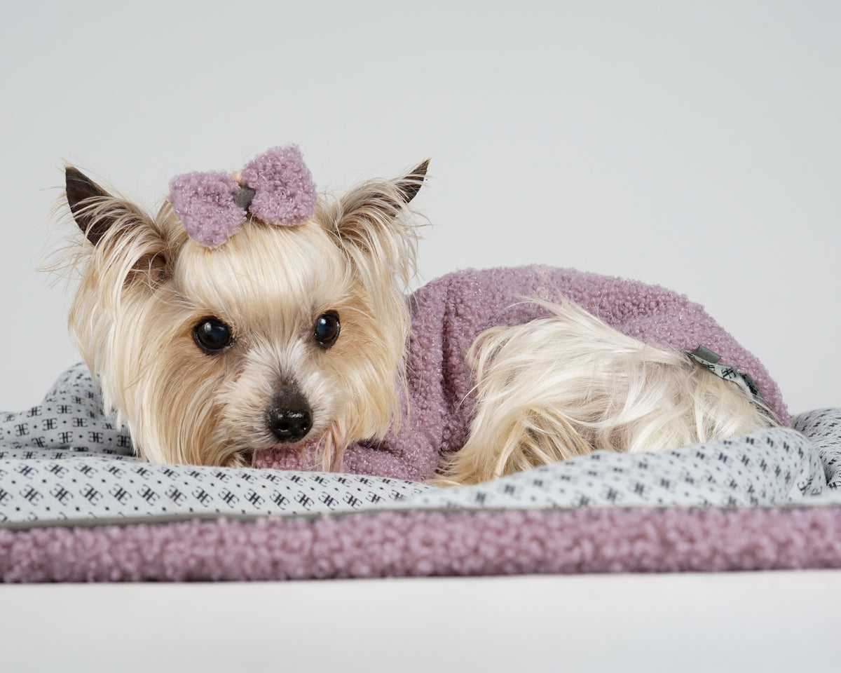 Yorkshire Terrier in a powder pink bouclé dress and matching bow, resting on a bouclé blanket