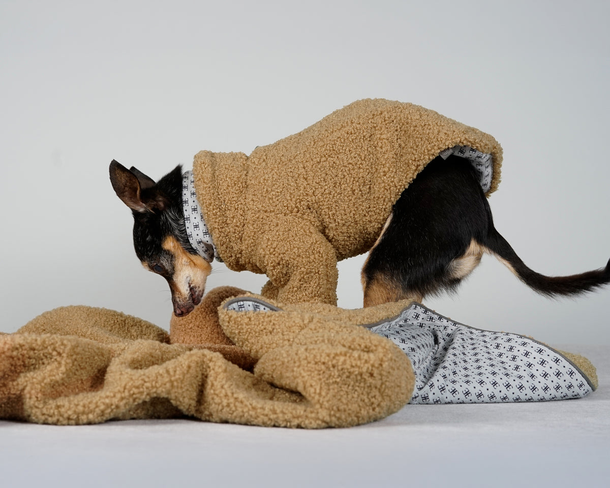 Black and tan dog in a camel bouclé pullover nosing into a camel bouclé blanket