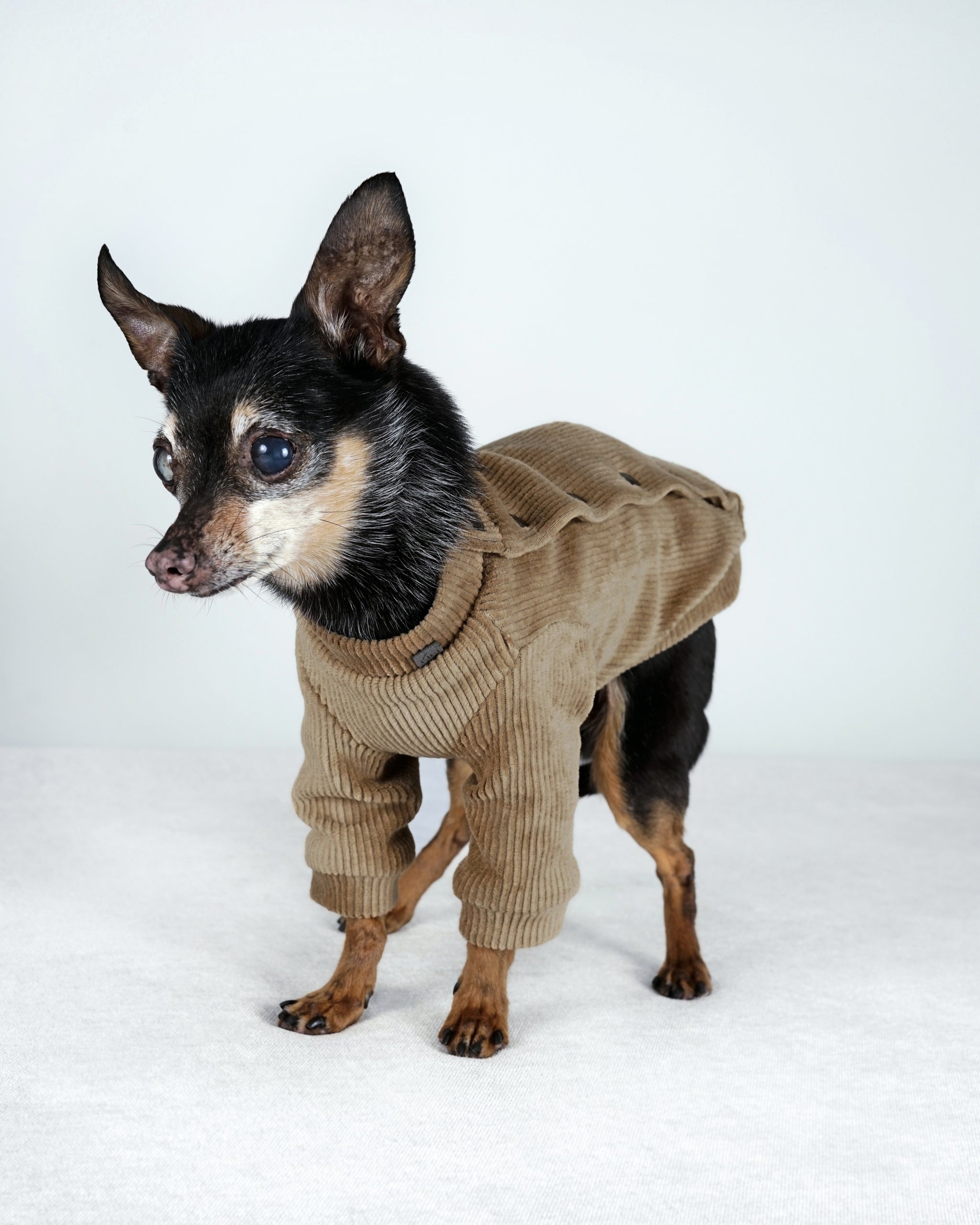Corven Bomber