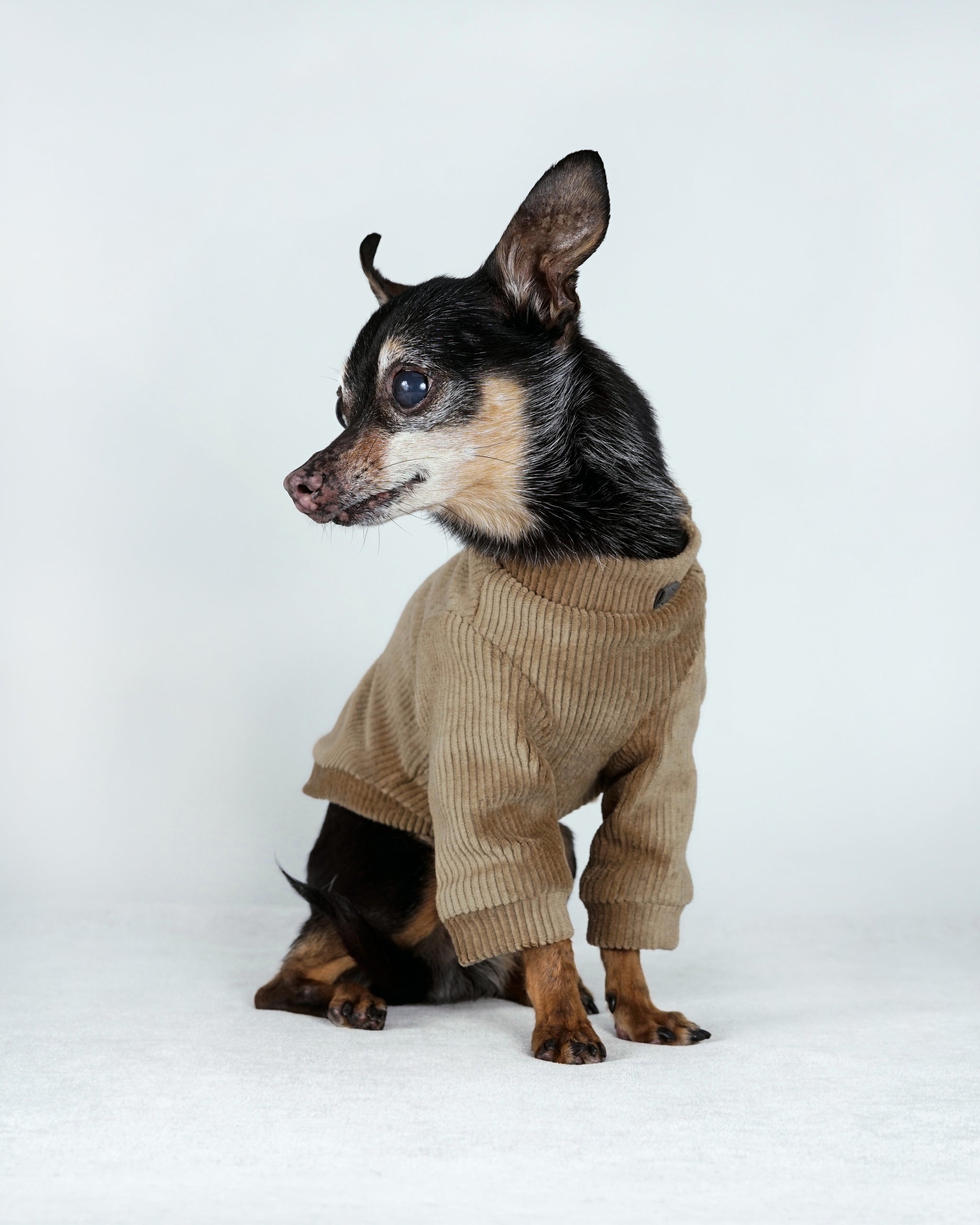 Corven Bomber