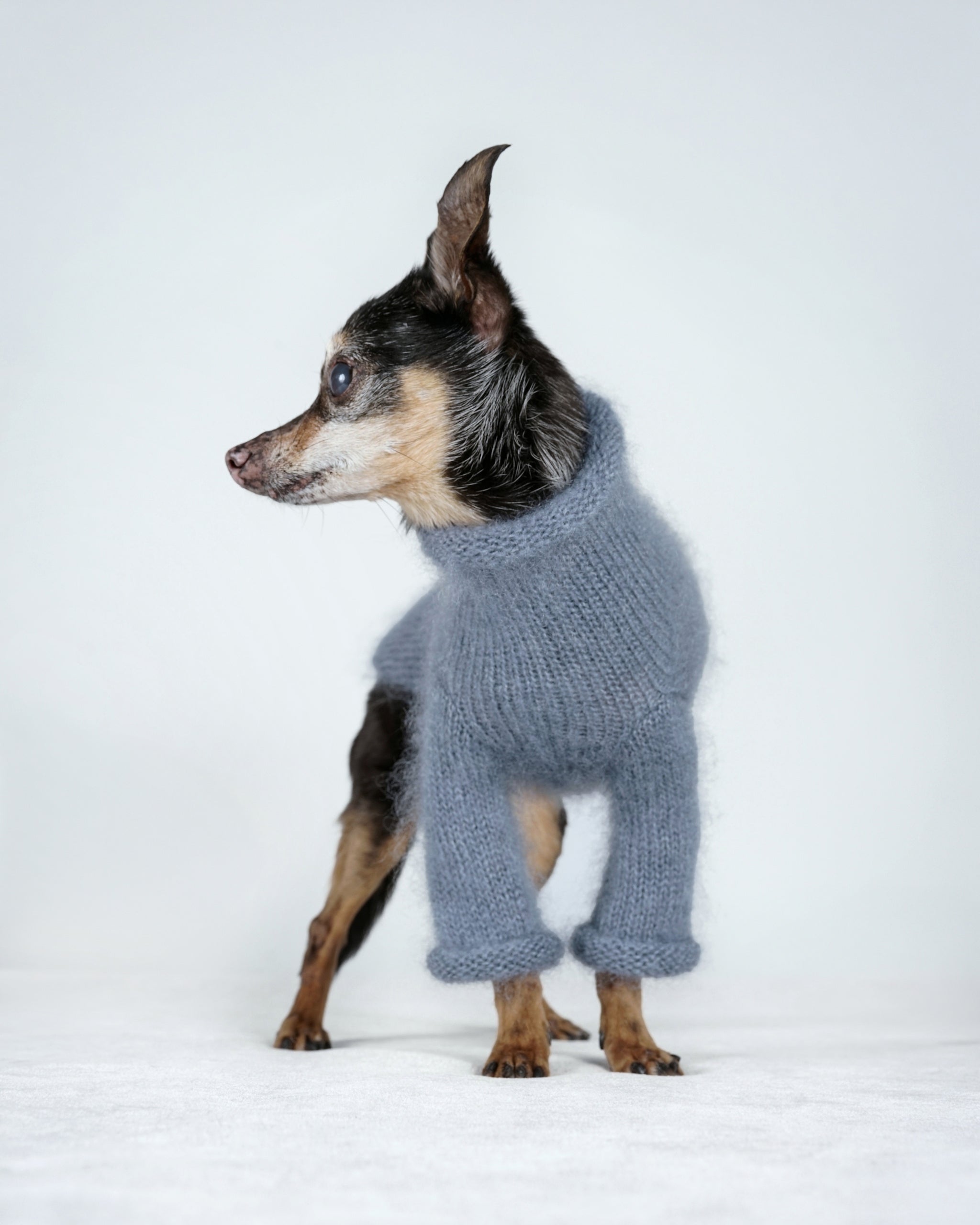 Silmoire Sweater