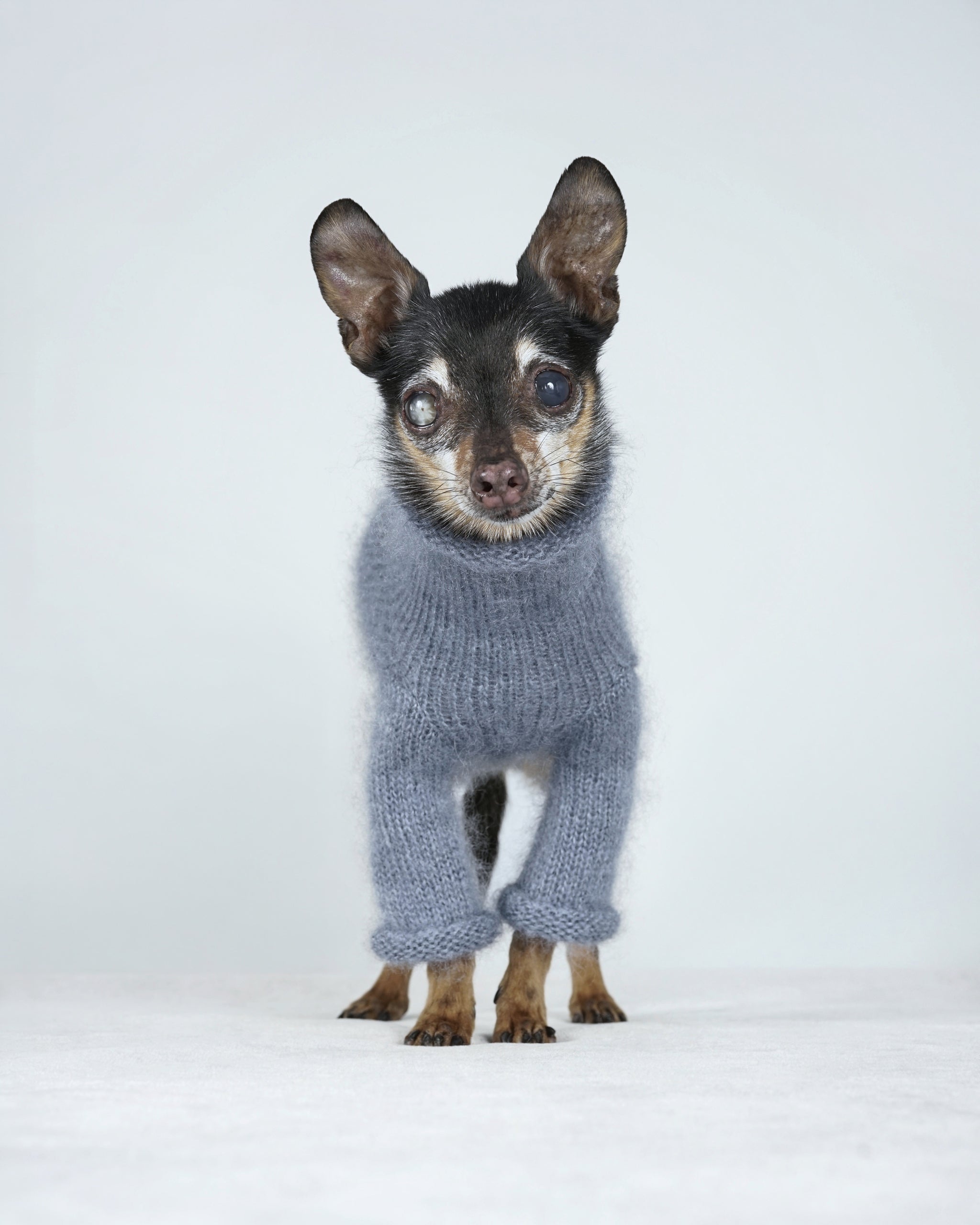 Silmoire Sweater