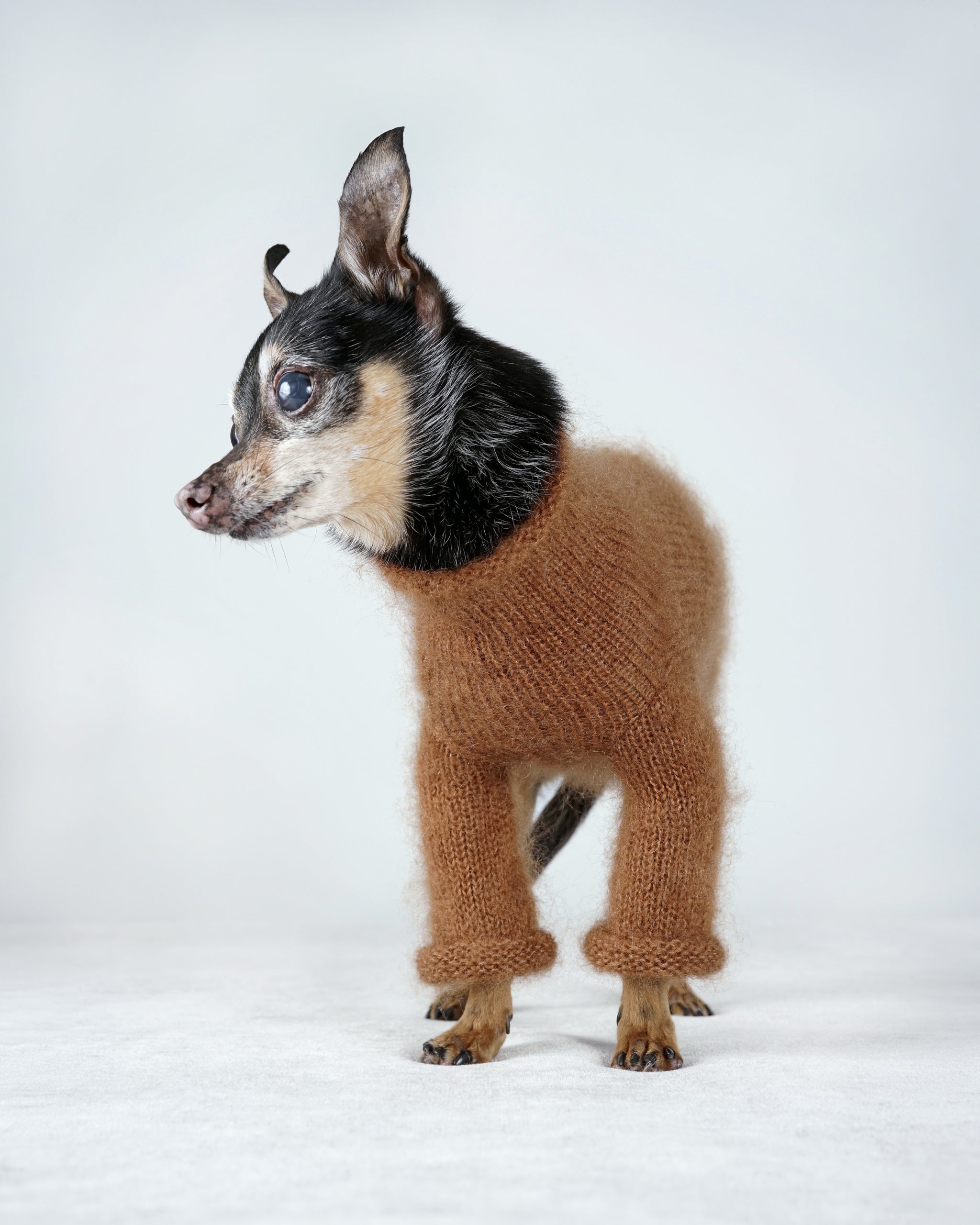 Silmoire Sweater