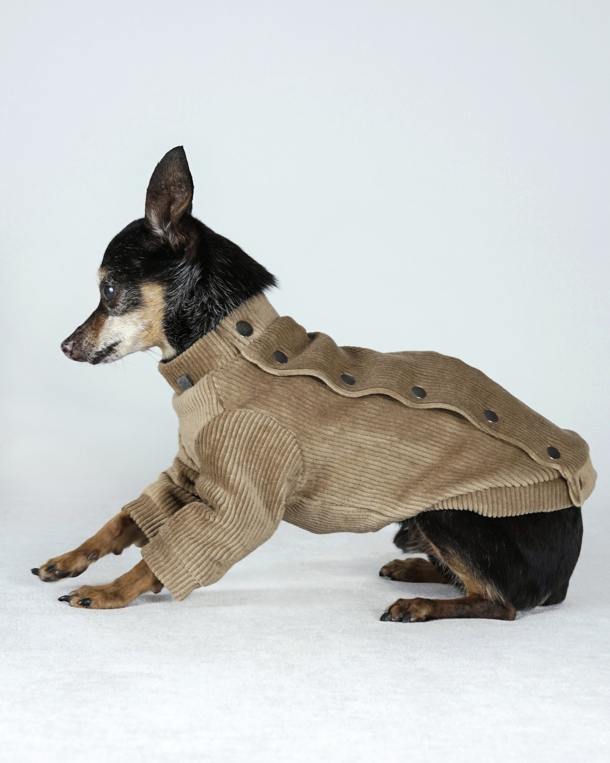 Corven Bomber