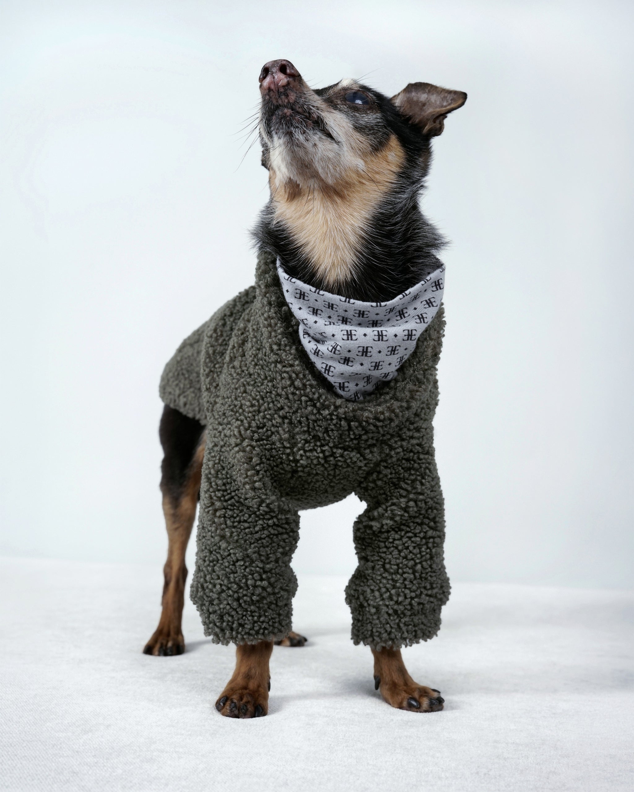 Bavente Pullover