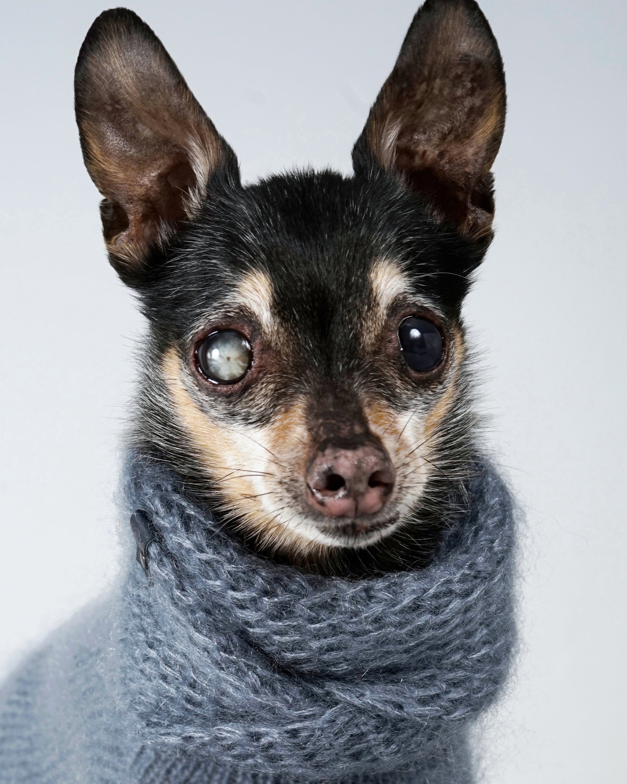 Silmoire Snood