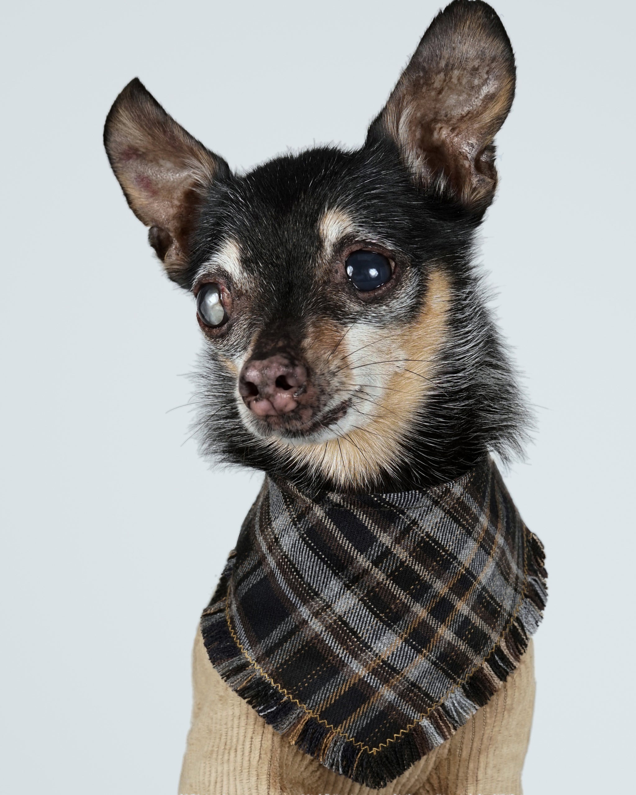 Nerili Scarf