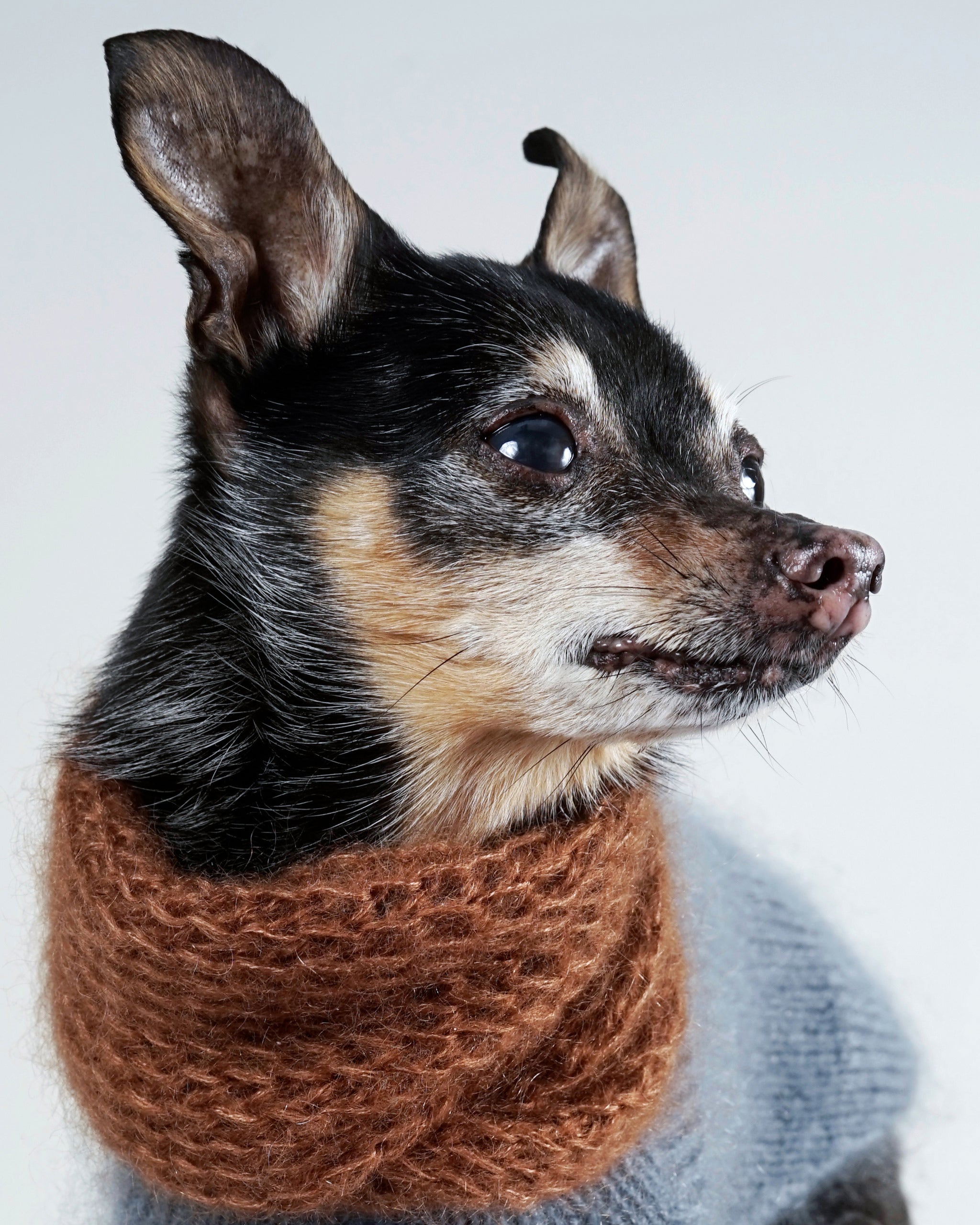 Silmoire Snood