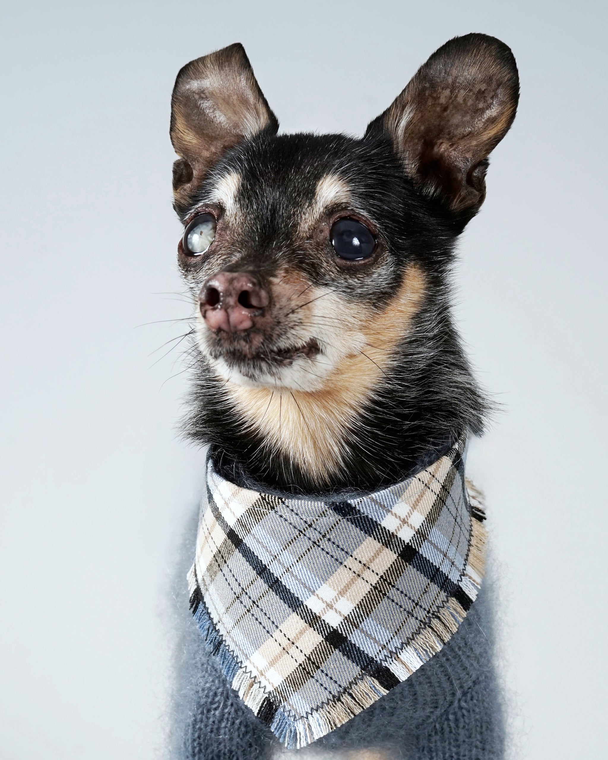 Nerili Scarf