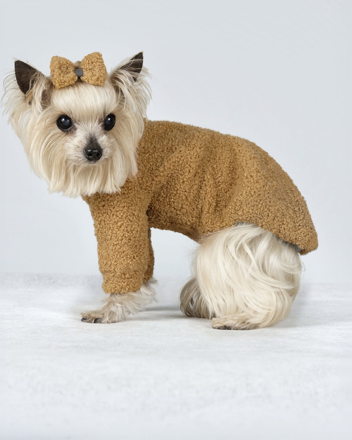 Small cream dog standing in a camel bouclé dress with a matching camel hair bow