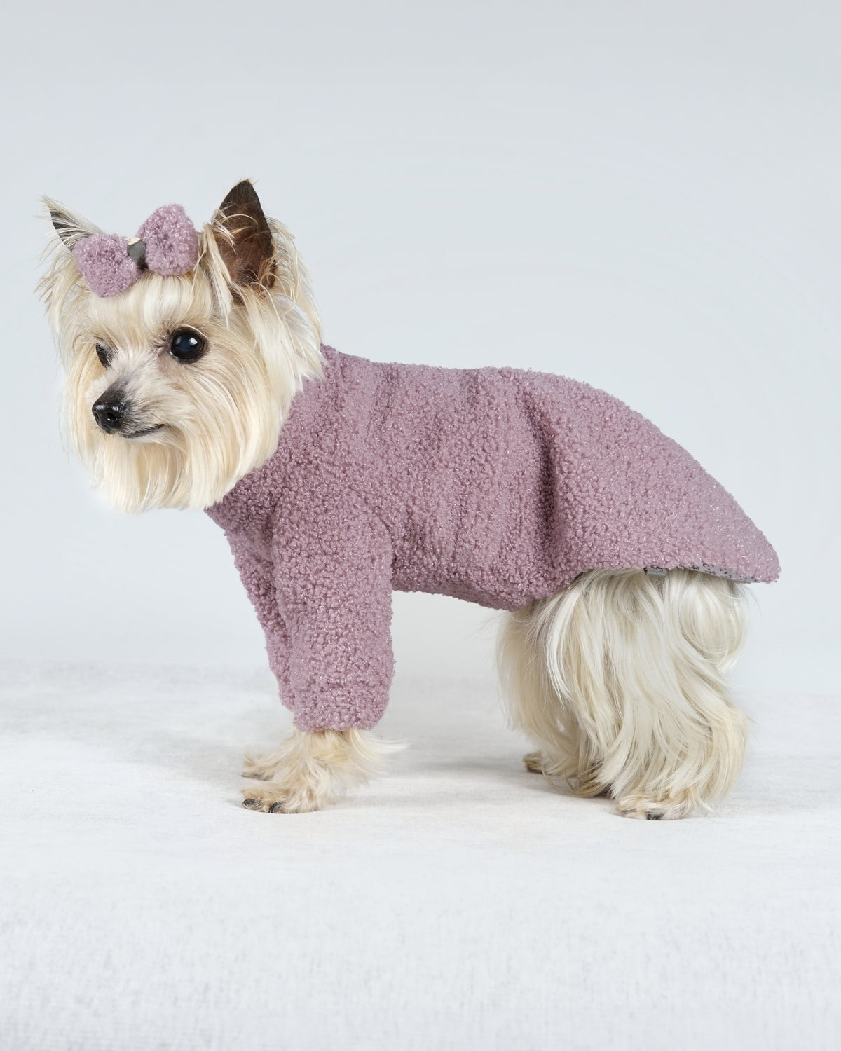 Small cream dog in profile wearing a powder pink bouclé dress and matching hair bow