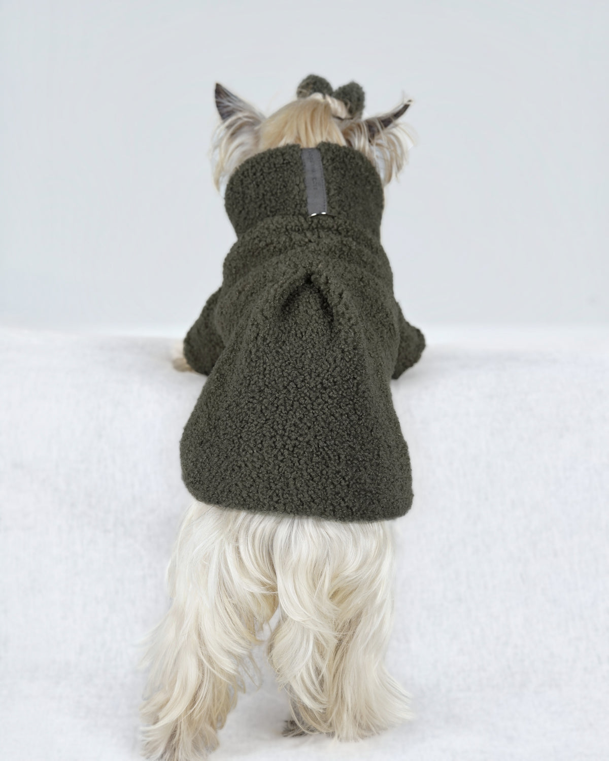 Back view of a small cream dog in a forest green bouclé dress, with a suede tab and soft back pleat
