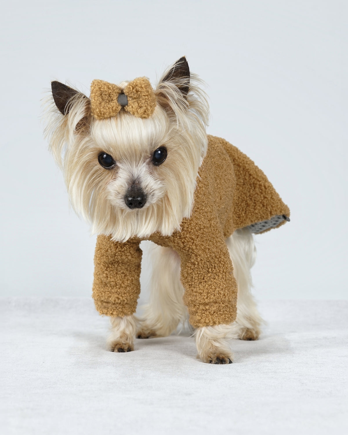 Small cream dog in a camel bouclé dog dress with a matching hair bow