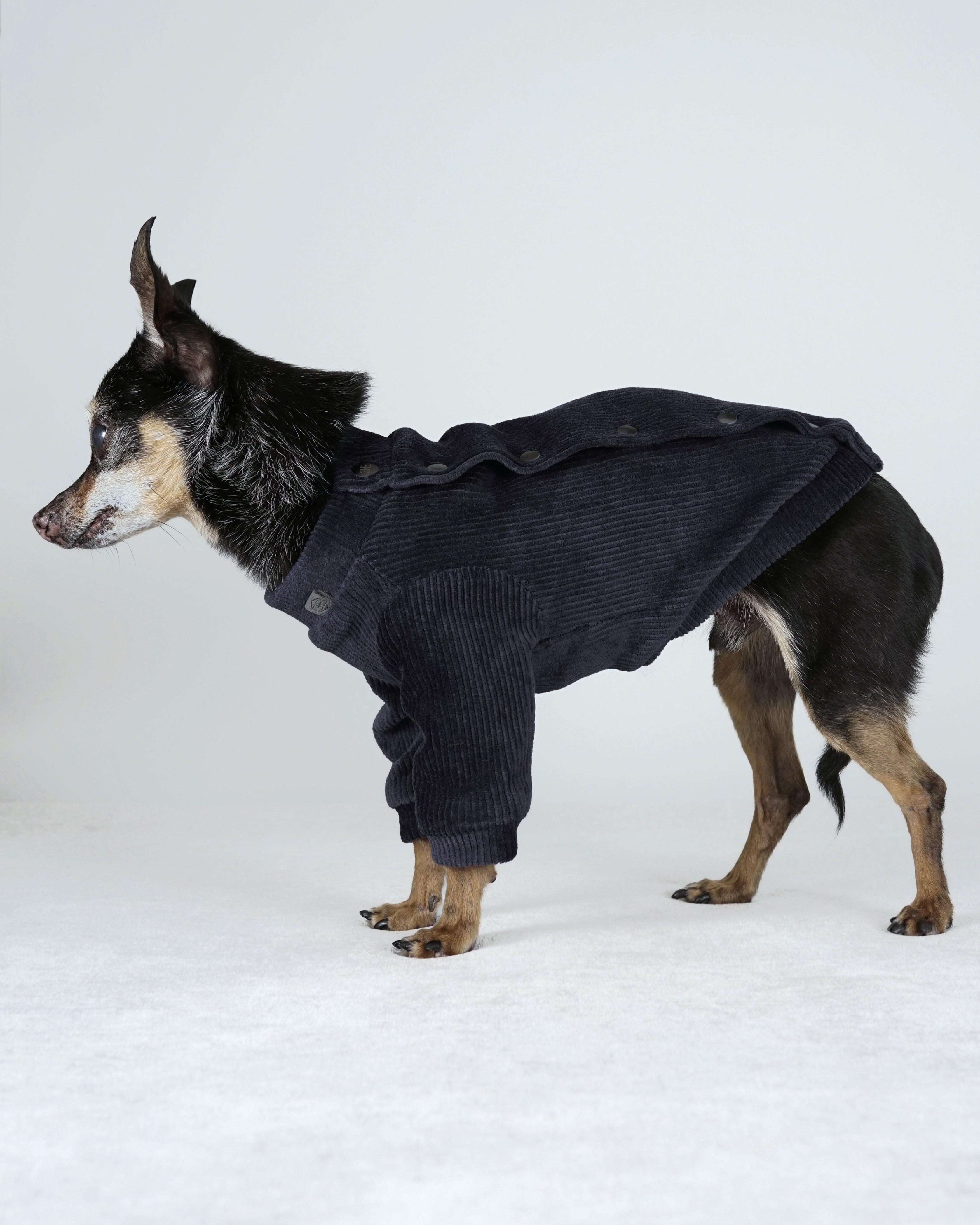 Corven Bomber