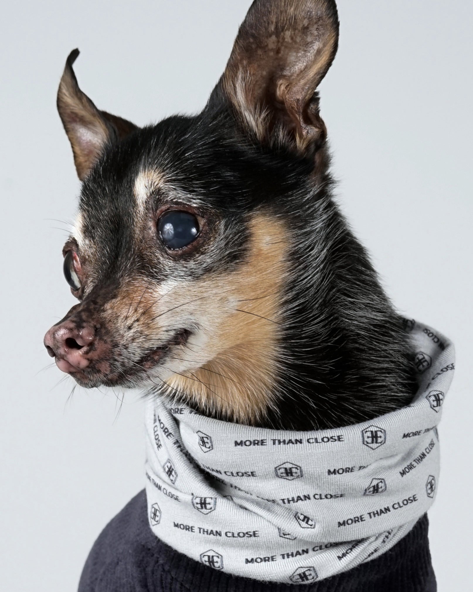 Corven Snood